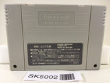 SK5002 The Amazing SpiderMan Lethal Foes Nintendo Super Famicom SNES Japan