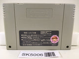 SK5006 Dragon Ball Z Super Butouden 2 Nintendo Super Famicom SNES Japan