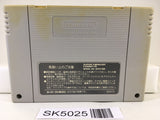 SK5025 Seiken Densetsu 2 Secret of Mana Nintendo Super Famicom SNES Japan