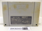 SK5043 Elfaria A Fantastic Theater Nintendo Super Famicom SNES Japan