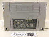 SK5047 Dead Dance Tuff E Nuff Nintendo Super Famicom SNES Japan