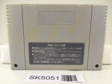 SK5051 Sim Earth The Living Planet Nintendo Super Famicom SNES Japan