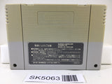 SK5063 Yu Yu Hakusho Nintendo Super Famicom SNES Japan
