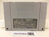 SK5064 Super Puyo Puyo Nintendo Super Famicom SNES Japan