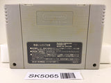 SK5065 Super Puyo Puyo Nintendo Super Famicom SNES Japan