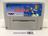 SK5066 Super Puyo Puyo Nintendo Super Famicom SNES Japan