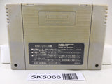 SK5066 Super Puyo Puyo Nintendo Super Famicom SNES Japan