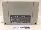 SK5068 Super Puyo Puyo 2 Remix Tsu Nintendo Super Famicom SNES Japan