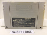 SK5073 Super Genjin Bonk's Adventure Nintendo Super Famicom SNES Japan