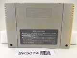 SK5074 Takahashi Meijin no Daibouken Jima Nintendo Super Famicom SNES Japan