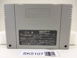 SK5107 Super Donkey Kong Country 2 Nintendo Super Famicom SNES Japan
