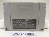 SK5109 Super Donkey Kong Country 3 Nintendo Super Famicom SNES Japan