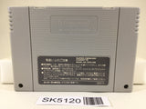 SK5120 Mario's Super Picross Nintendo Super Famicom SNES Japan