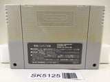 SK5125 Street Fighter II 2 Nintendo Super Famicom SNES Japan