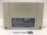 SK5126 Street Fighter II 2 Nintendo Super Famicom SNES Japan