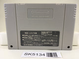 SK5134 Art Of Fighting 2 Nintendo Super Famicom SNES Japan
