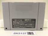 SK5137 Wolfenstein 3D The Claw of Eisenfaust Nintendo Super Famicom SNES Japan