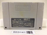 SK5141 Dragon Ball Z Super Butouden 2 Nintendo Super Famicom SNES Japan