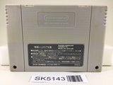 SK5143 Dragon Ball Z Super Butouden 2 Nintendo Super Famicom SNES Japan