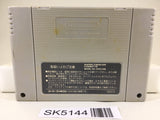 SK5144 Dragon Ball Z Super Butouden 2 Nintendo Super Famicom SNES Japan