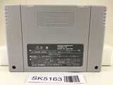 SK5163 Daikaijuu Monogatari II 2 Nintendo Super Famicom SNES Japan