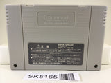 SK5165 Dark Half Nintendo Super Famicom SNES Japan