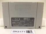 SK5171 Breath of Fire Nintendo Super Famicom SNES Japan
