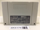 SK5174 Romancing Sa Ga 3 Nintendo Super Famicom SNES Japan