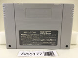 SK5177 Chou Makaimura Super Ghouls 'n Ghosts Nintendo Super Famicom SNES Japan