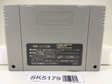 SK5179 Ruin Arm Nintendo Super Famicom SNES Japan