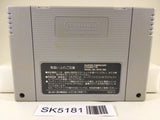 SK5181 Elnard The 7th Saga Nintendo Super Famicom SNES Japan