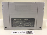 SK5184 Lennus Paladin's Quest Nintendo Super Famicom SNES Japan