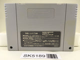SK5189 Dragon Slayer The Legend of Heroes 2 Nintendo Super Famicom SNES Japan