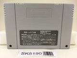 SK5190 Shinseiki Odysselya Nintendo Super Famicom SNES Japan