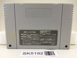 SK5192 Silva Saga 2 The Legend of Light&Darkness Super Famicom SNES Japan