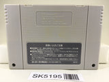 SK5195 Soul Blader Nintendo Super Famicom SNES Japan