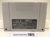 SK5206 Bahamut Lagoon Nintendo Super Famicom SNES Japan