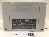 SK5213 The Great Battle 5 V Nintendo Super Famicom SNES Japan