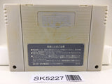 SK5227 Yu Yu Hakusho Nintendo Super Famicom SNES Japan