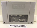 SK5230 Super Nazo Puyo 2 Tsu Nintendo Super Famicom SNES Japan