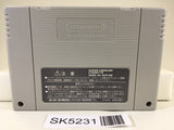 SK5231 Super Gussun Oyoyo 2 Nintendo Super Famicom SNES Japan