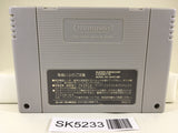 SK5233 Super Bomberman Panic Bomber World Nintendo Super Famicom SNES Japan
