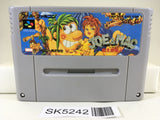 SK5242 Joe & Mac Tatakae Genshijin Nintendo Super Famicom SNES Japan
