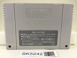 SK5242 Joe & Mac Tatakae Genshijin Nintendo Super Famicom SNES Japan