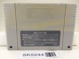 SK5244 Super Wagyan Land Nintendo Super Famicom SNES Japan