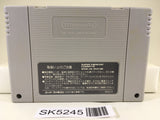 SK5245 Parodius da! Shinwa Kara Owarai he Nintendo Super Famicom SNES Japan