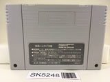 SK5248 The Simpsons Bart's Nightmare Nintendo Super Famicom SNES Japan