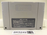 SK5249 Lemmings 2 The Tribes Nintendo Super Famicom SNES Japan