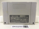 SK5250 Kabuki Rocks Nintendo Super Famicom SNES Japan
