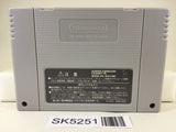 SK5251 Zakuro no Aji Nintendo Super Famicom SNES Japan
